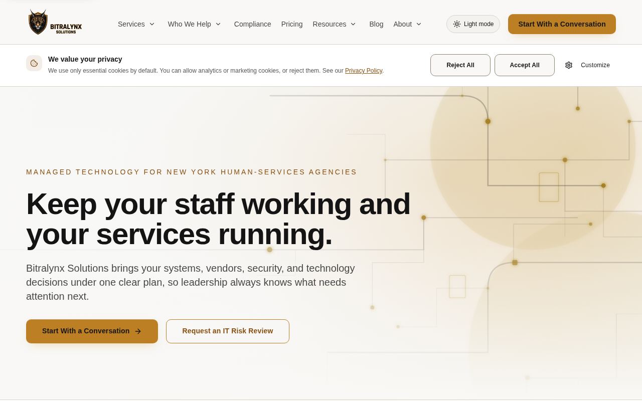 Screenshot of the Bitralynx Solutions Website website